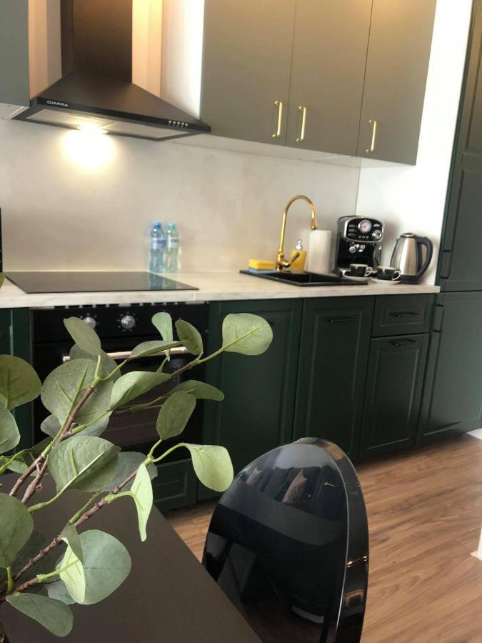 Apartament 500 Bulwary Stare Miasto Apartamenty No 1 شتشيتسين المظهر الخارجي الصورة